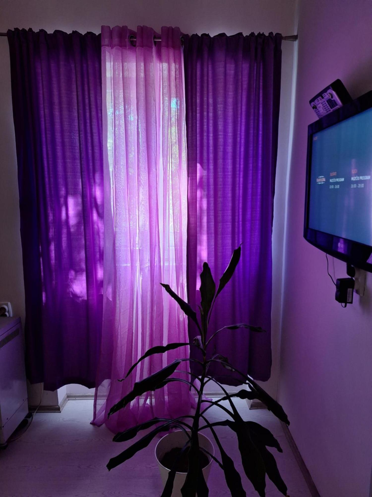ベオグラードApartman Majaアパートメント エクステリア 写真